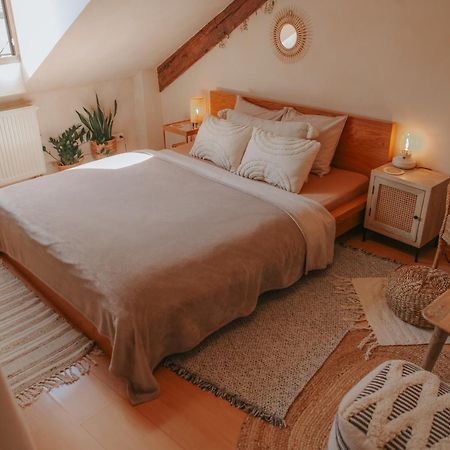 Cozy Apartment In The Heart Of The Historic City Bratislava Buitenkant foto
