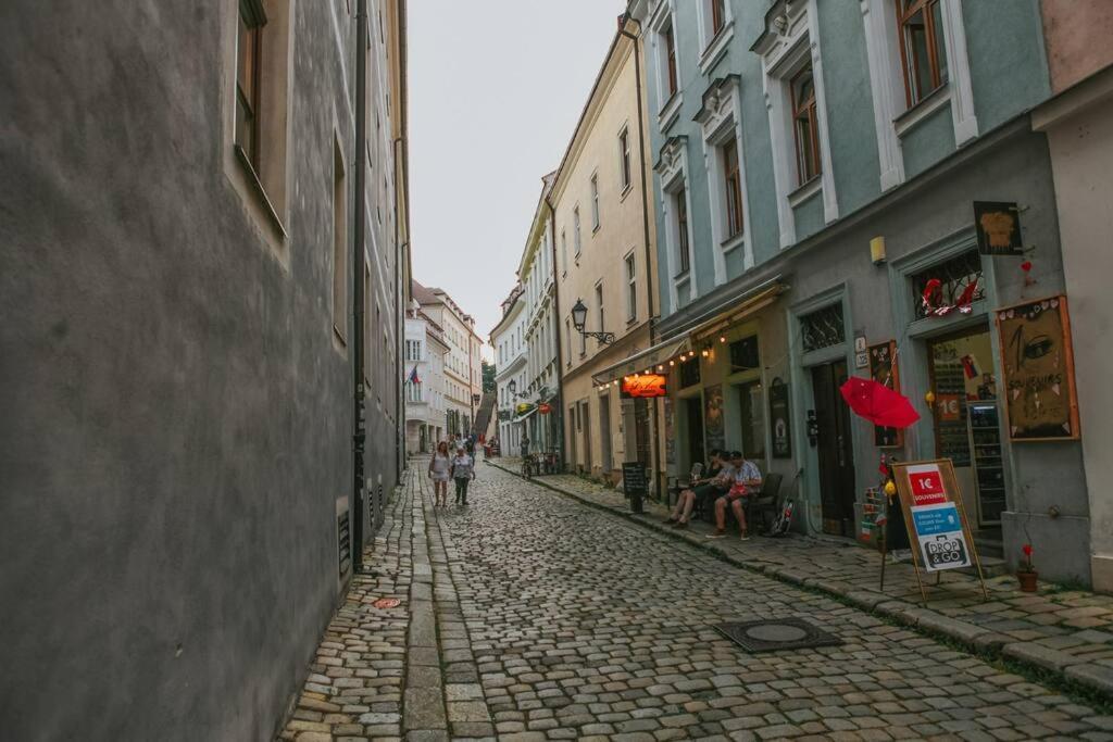 Cozy Apartment In The Heart Of The Historic City Bratislava Buitenkant foto